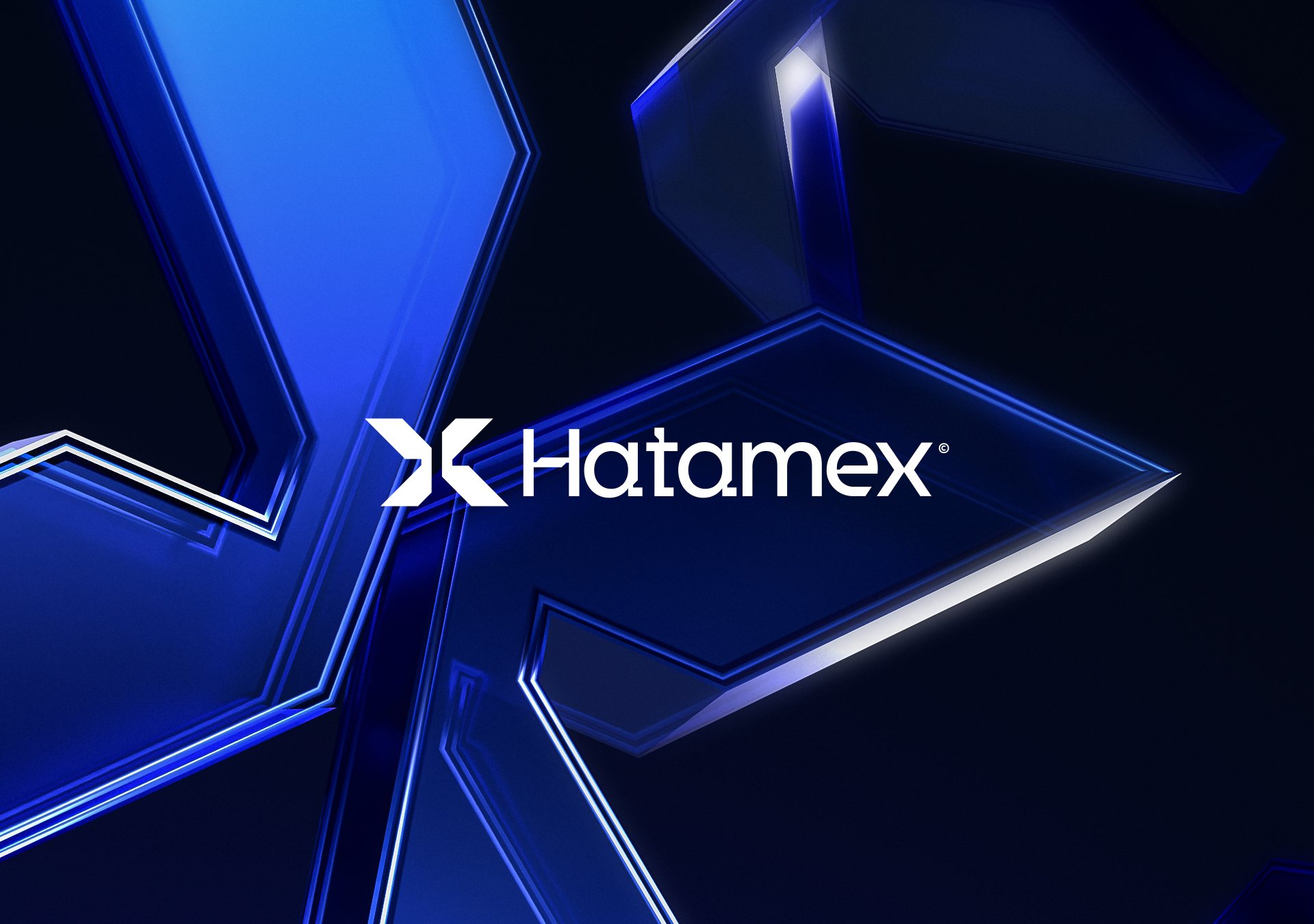 Hatamex, imagem 6 do projeto