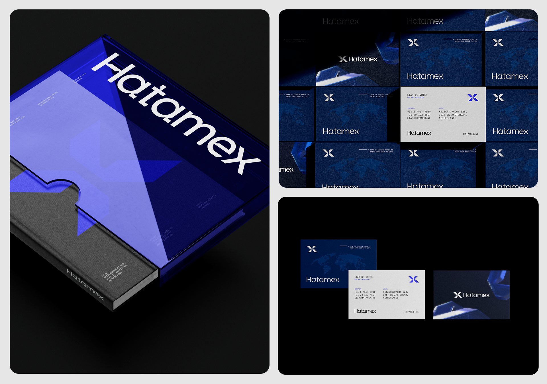 Hatamex, imagem 15 do projeto